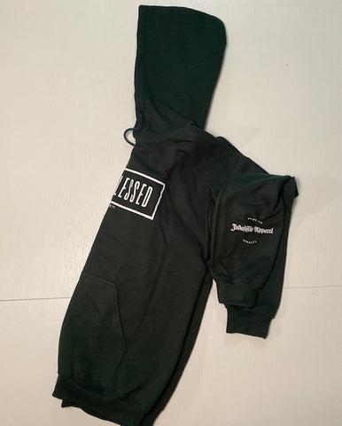 Crazy Blessed Hoodie- Jeremiah 29:11 with Judahflo stamp on sleeve